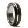 Ebony Wood Ring Lined Titanium Inlaid Silver